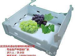湖北哪里有供銷品質優(yōu)良的塑料中空板水果蔬菜箱 pp中空板