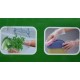 浙江銷售一次性塑料薄膜衛(wèi)生手套