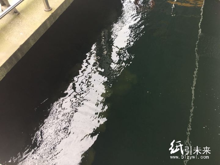 目前，春江街道的造紙污水經處理后的化學需氧量COD指標已下降至50以下