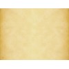 單面光牛皮紙（48克----115克)