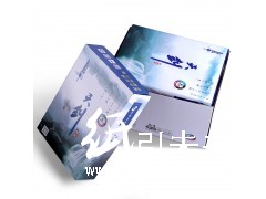 晨鳴天劍80g  A4復(fù)印紙10包/箱  A3復(fù)印紙5包/箱 五大箱起包郵