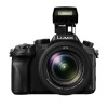 松下(Panasonic)數碼照相機	DMC-FZ2500GK	1英寸傳感器 約2010萬有效像素 3.0英寸液晶屏 20倍光學變焦 無內置存儲 官方標配 一年保修 黑色