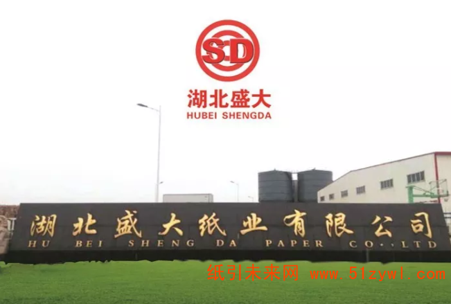湖北盛大紙業(yè)PM3順利投產(chǎn)3